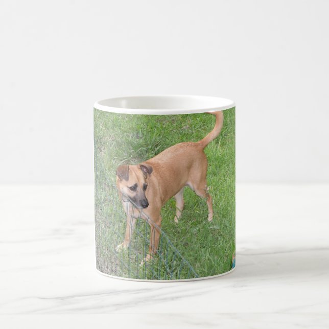 carolina dog full 2.png coffee mug (Center)