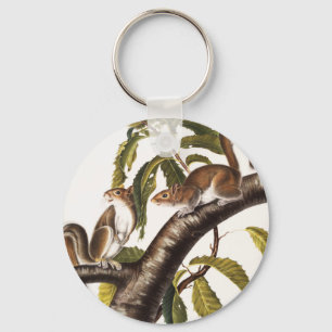 Carolina Gray Squirrel (Sciurus Carolinensis) Keychain