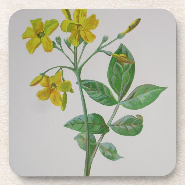 Carolina Jasmine Botanical Art Beverage Coaster (Front)