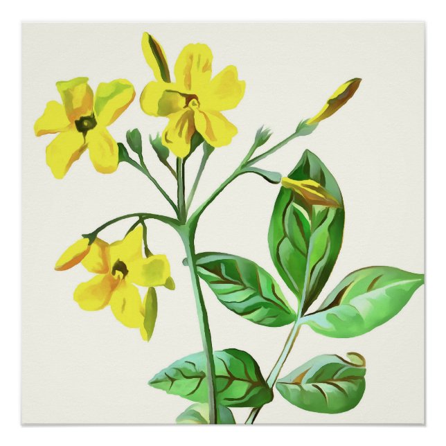 Carolina Jasmine Botanical Art Poster (Front)