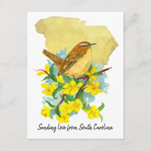 Carolina Love Wren Bird Jessamine Yellow Flowers Postcard