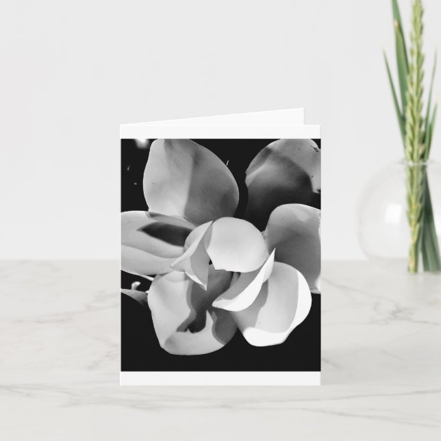 Carolina Magnolia - Blank Folded Card (Front)