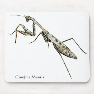 Carolina Mantis Mouse Pad