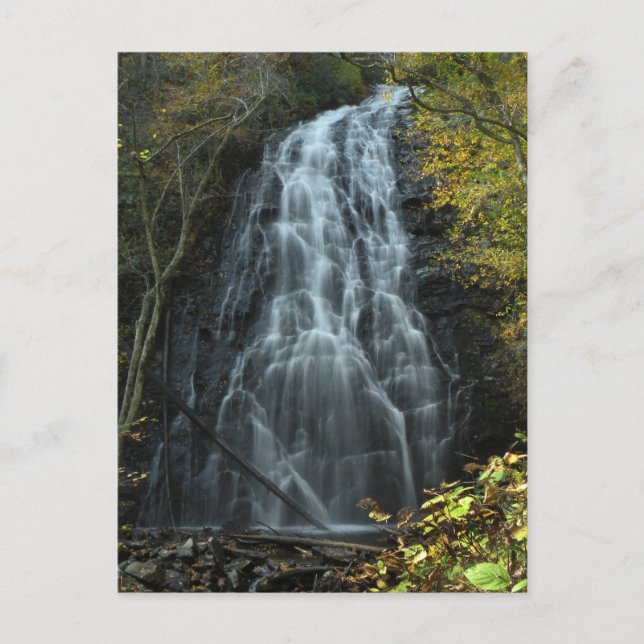 Carolina Mountain Waterfall Photo Postcard (Front)