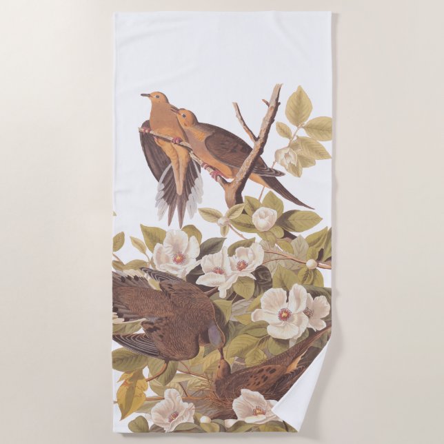 Carolina Mourning Dove Beach Towel (Front)