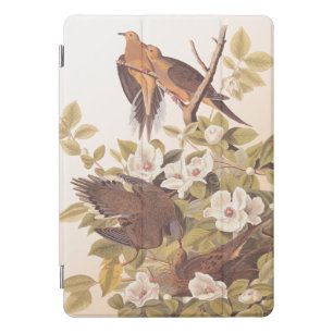 Carolina Mourning Dove iPad Pro Cover
