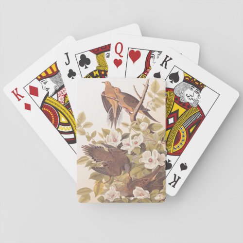 Carolina Mourning Dove Poker Cards