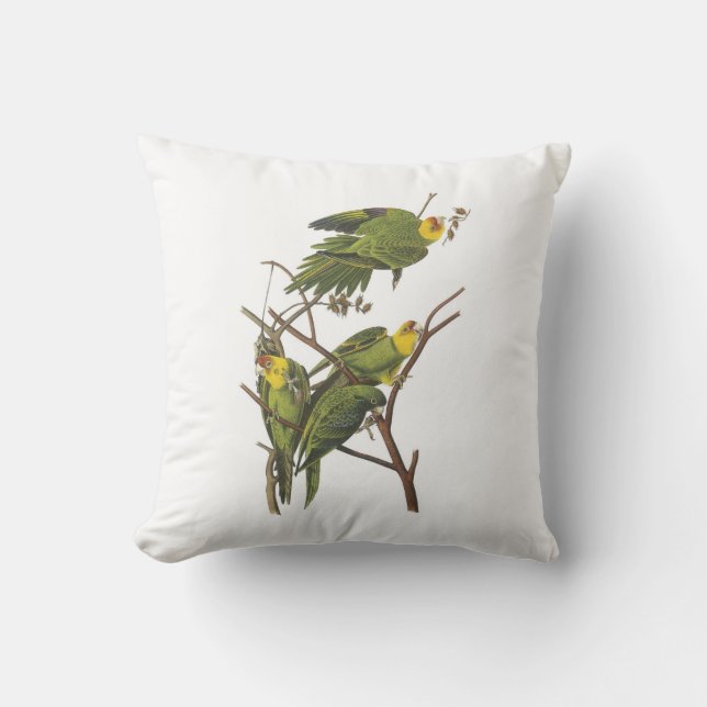 Carolina Parakeet by Audubon Throw Pillow (Front)