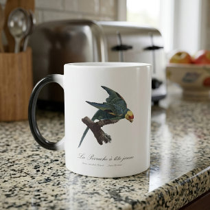 Carolina parakeet, Conuropsis carolinensis Color Morph Mug