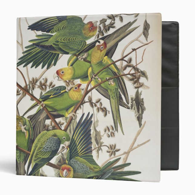 Carolina Parakeet, from 'Birds of America', 1829 Binder (Front/Inside)