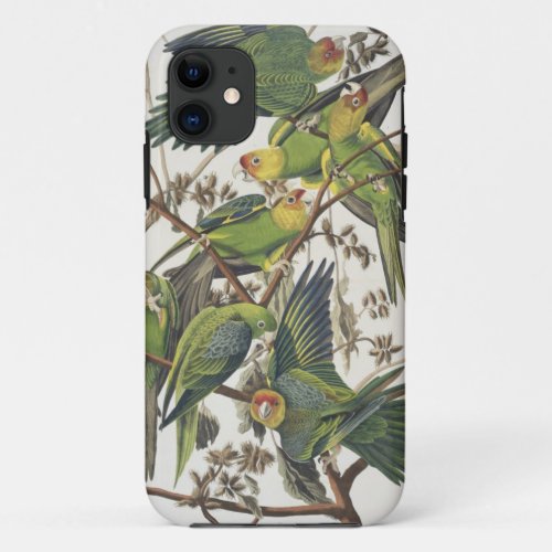 Carolina Parakeet from Birds of America 1829 iPhone 11 Case