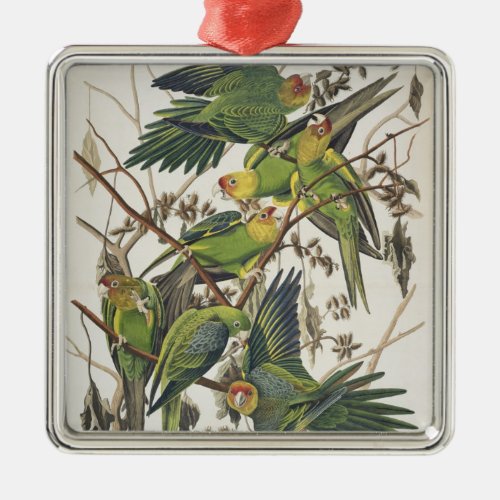 Carolina Parakeet from Birds of America 1829 Metal Ornament