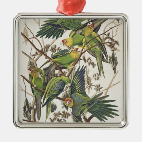 Carolina Parakeet from Birds of America 1829 Metal Ornament