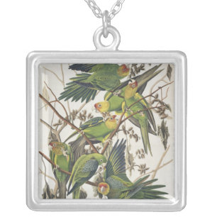 Carolina Parakeet, from 'Birds of America', 1829 Silver Plated Necklace