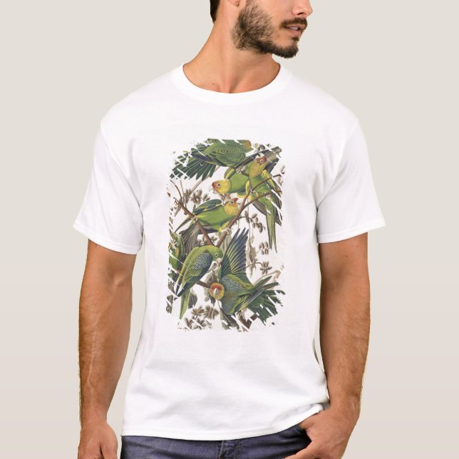 Carolina Parakeet, from 'Birds of America', 1829 T-Shirt (Front)