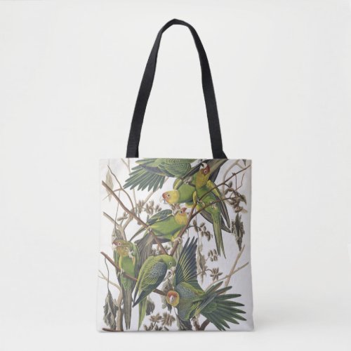 Carolina Parakeet from Birds of America 1829 Tote Bag