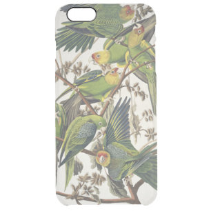 Carolina Parakeet, from 'Birds of America', 1829 Clear iPhone 6 Plus Case