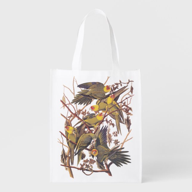 Carolina Parakeet Grocery Bag (Front)