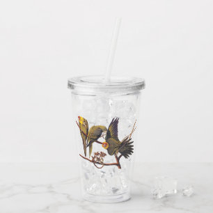 Carolina Parakeet Trio of Extinct Birds Acrylic Tumbler