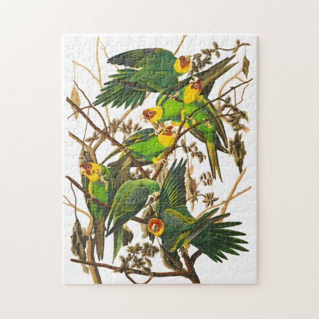 Carolina Parrot by John James Audubon Jigsaw Puzzle (Vertical)