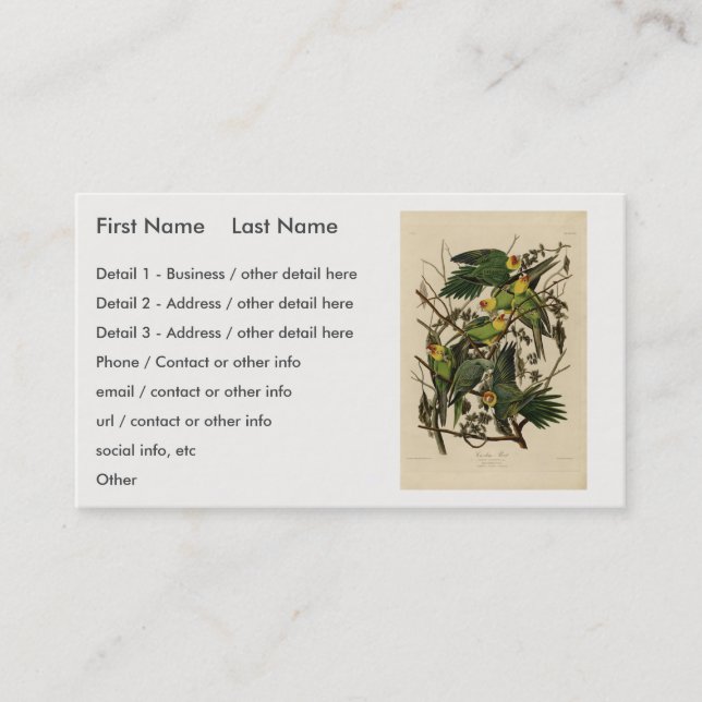 Carolina Parrot from Audubon's Birds of America Business Card (Front)