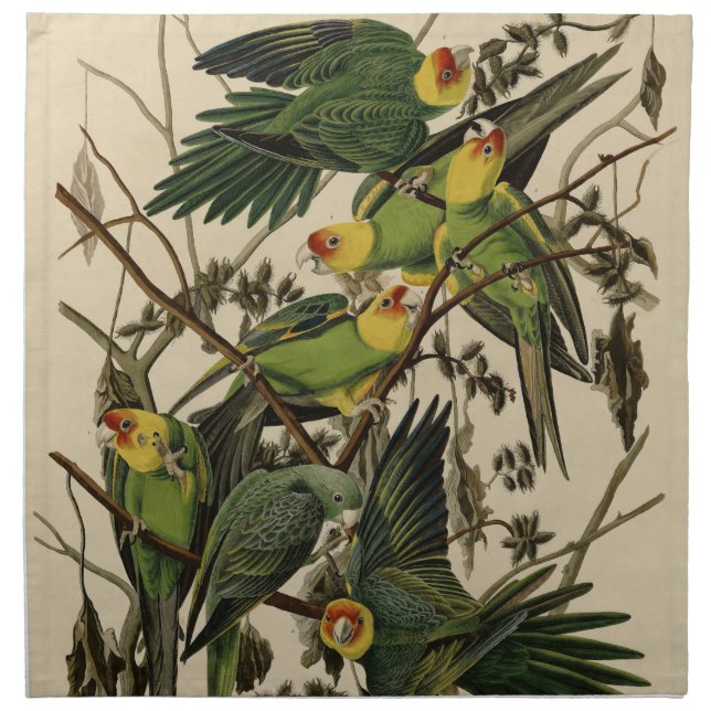 Carolina Parrot from Audubon's Birds of America Cloth Napkin (Front)
