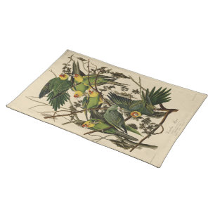 Carolina Parrot from Audubon's Birds of America Cloth Placemat