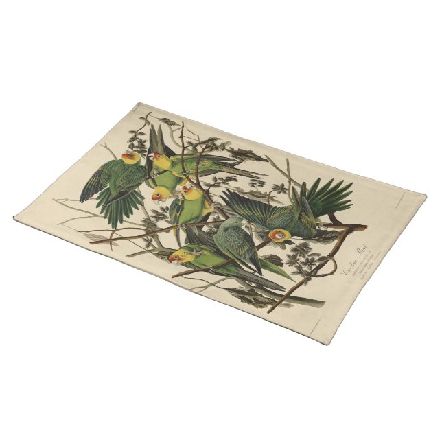 Carolina Parrot from Audubon's Birds of America Cloth Placemat (On Table)