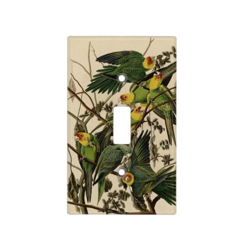Carolina Parrot from Audubons Birds of America Light Switch Cover