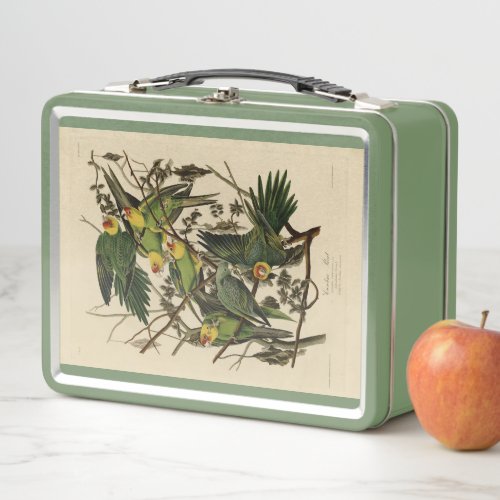 Carolina Parrot from Audubons Birds of America Metal Lunch Box