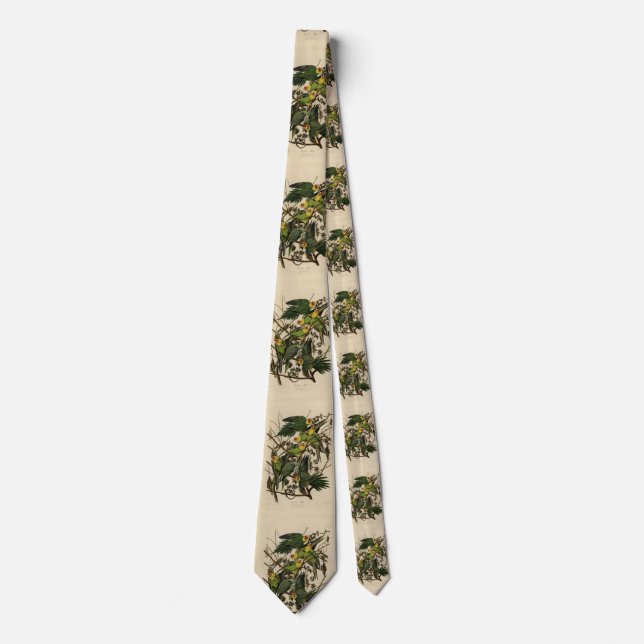 Carolina Parrot from Audubon's Birds of America Neck Tie (Front)