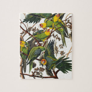 Carolina Parrot - John James Audubon (1827-1838) Jigsaw Puzzle