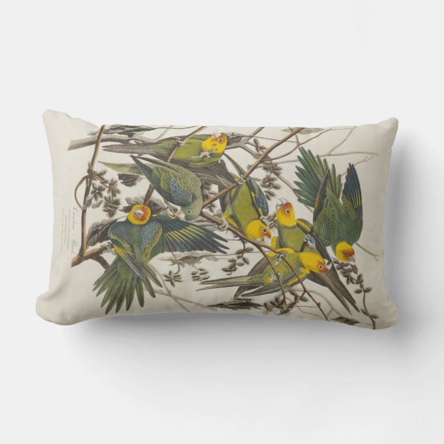 Carolina Parrot - John James Audubon (1827-1838) Lumbar Pillow (Front)