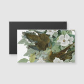 Carolina Pigeon Audubon Morning Dove Bird (Front/Back)