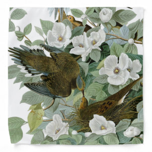 Carolina Pigeon Audubon Morning Dove Bird Bandana