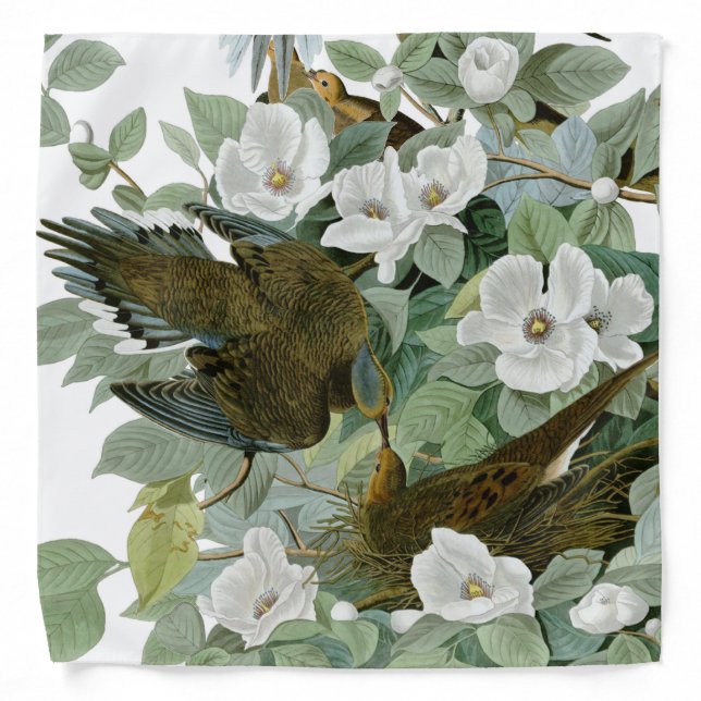 Carolina Pigeon Audubon Morning Dove Bird Bandana (Front)