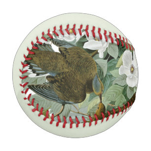 Carolina Pigeon Audubon Morning Dove Bird Baseball