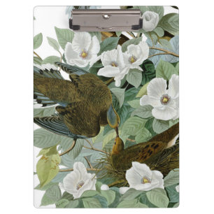 Carolina Pigeon Audubon Morning Dove Bird Clipboard