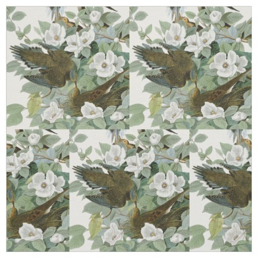 Carolina Pigeon Audubon Morning Dove Bird Fabric