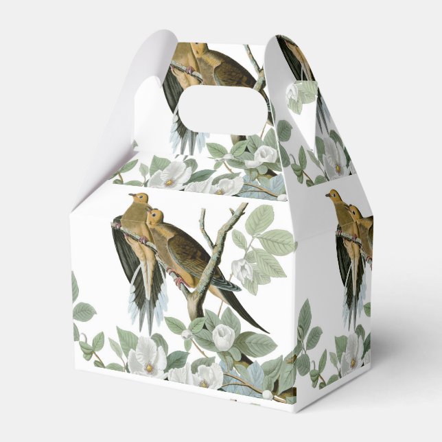 Carolina Pigeon Audubon Morning Dove Bird Favor Boxes (Front Side)
