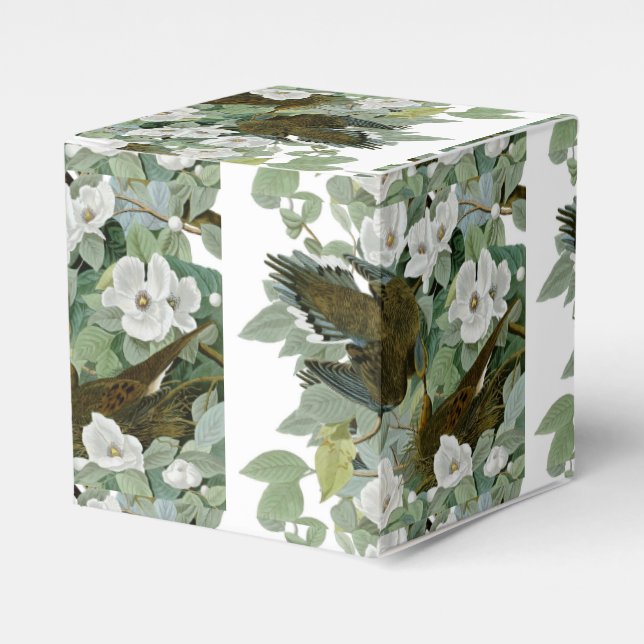 Carolina Pigeon Audubon Morning Dove Bird Favor Boxes (Front Side)