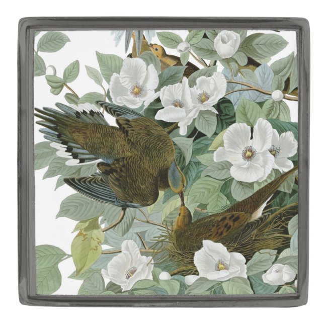Carolina Pigeon Audubon Morning Dove Bird Gunmetal Finish Lapel Pin (Front)