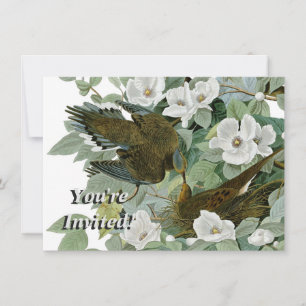 Carolina Pigeon Audubon Morning Dove Bird Invitation