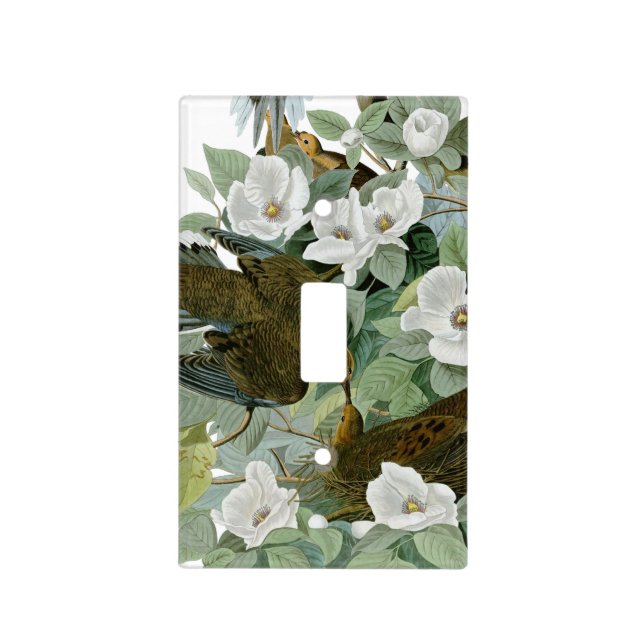 Carolina Pigeon Audubon Morning Dove Bird Light Switch Cover (Front)