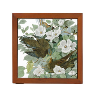 Carolina Pigeon Audubon Morning Dove Bird Pencil/Pen Holder