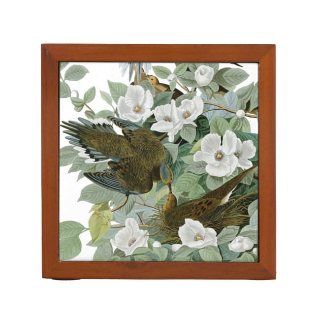 Carolina Pigeon Audubon Morning Dove Bird Pencil/Pen Holder (Front)