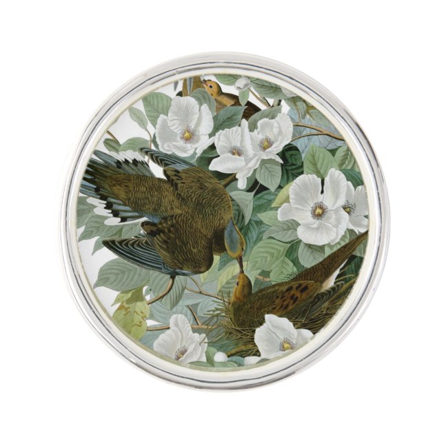 Carolina Pigeon Audubon Morning Dove Bird Pin (Front)