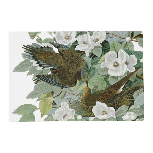 Carolina Pigeon Audubon Morning Dove Bird Placemat (Front)