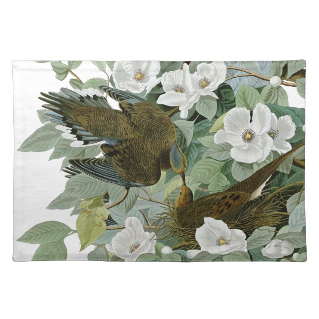 Carolina Pigeon Audubon Morning Dove Bird Placemat (Front)
