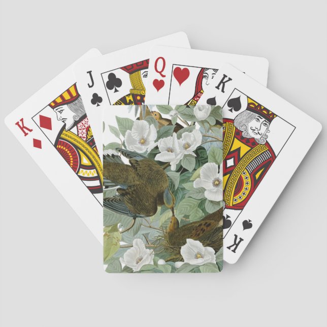 Carolina Pigeon Audubon Morning Dove Bird Poker Cards (Back)